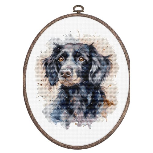 (image for) The Border Collie